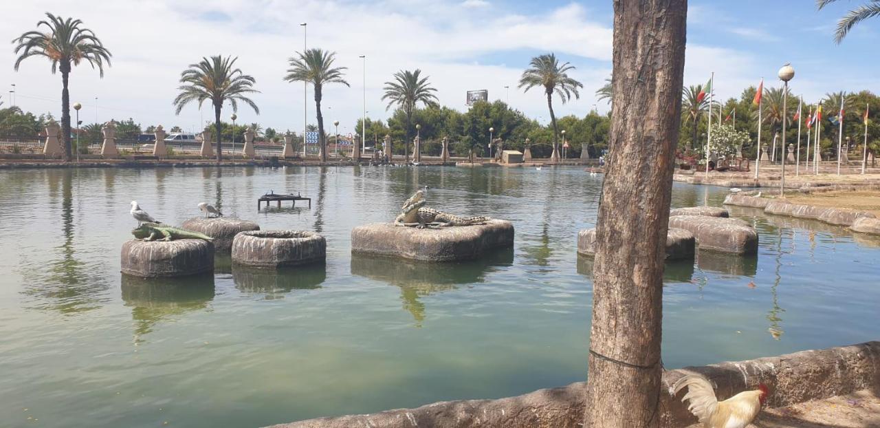 Schoene Mit Pool , Wi-fi Und Privat Garage * Torrevieja
